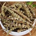 荆芥穗 荆芥穗统货 新货过筛 产地批发 诚信做人 良心做药