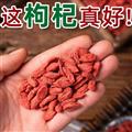 精选宁县红枸杞 正品枸杞 新货精选