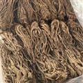 当归 无硫当归选个 产地 甘肃省 质量保证 量大从优
