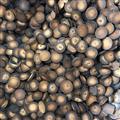 化橘红 化橘红小个 产地 广东省茂名市化州市