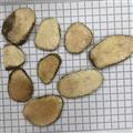 泽泻 炕货 常用规格  产地四川 统片  1kg
