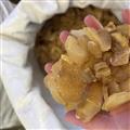诺源药材行中药材优质黄精  无硫黄精 多种规格
