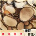 鹿茸 正品梅花鹿茸白粉片 梅花鹿茸 无排血 无染色 正品保证 诚信做人 良心做药