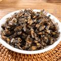 虻虫 牛虻虫 优选大虻虫 正品货 最佳用药 专注中药品批发 诚信做人 良心做药