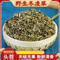 秦岭山区道地野生冬凌草 正品冰凌草 雪花草 新货精选