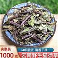 秦岭山区道地野生猫须草 正品猫须草