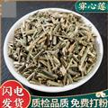 秦岭山区野生穿心莲 正品一见喜川心连 苦胆草 四方莲 新货
