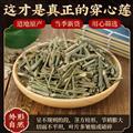 秦岭山区野生穿心莲 正品一见喜川心连 苦胆草 四方莲 新货