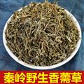 秦岭山区野生香薷草 正品香茹香汝 牙刷草 新货精选