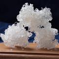 精选云南拉丝雪燕 正品雪燕燕窝 新货