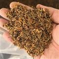 精选蜈蚣脚 高含量爪子  量大从优 承诺不掺假 不加重  诚信经营 诚信做人 良心做药