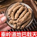 秦岭山区道地巴戟天 正品巴戟肉 抽芯巴戟天 盐炙巴戟天