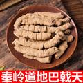 秦岭山区道地巴戟天 正品巴戟肉 抽芯巴戟天 盐炙巴戟天