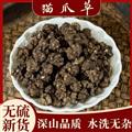 猫爪草 家种猫爪草中选货1.0-1.4 产地 河南省