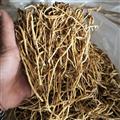 龙胆 龙胆草 北龙胆草 北龙胆草 统 产地辽宁