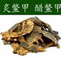 鳖甲 醋鳖甲 统 产地 湖北省 质量保证 量大从优