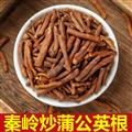 秦岭野生蒲公英根 正品炒蒲公英根茶 