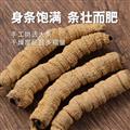 秦岭山区道地巴戟天 正品巴戟肉 抽芯巴戟天 盐炙巴戟天