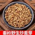 秦岭山区道地生麦芽 炒麦芽 焦麦芽 新货精选