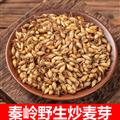 秦岭山区道地生麦芽 炒麦芽 焦麦芽 新货精选