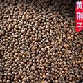 黄荆子大货供应布惊子黄金子黄荆子