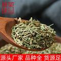 侧柏叶干净侧柏叶粉新货颜色青各种规格中药材侧柏叶