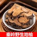 秦岭山区道地野生地榆 正品地榆根 地榆炭碳