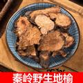 秦岭山区道地野生地榆 正品地榆根 地榆炭碳