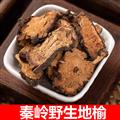 秦岭山区道地野生地榆 正品地榆根 地榆炭碳