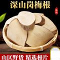 秦岭山区道地岗梅根 正品山梅根天星木 