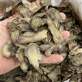 三七 三七片 纯干货 40头切片 文山三七 产地 云南省