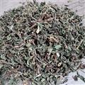 旱莲草 墨旱莲(旱莲草)灰绿色统货 旱莲草 墨旱莲(旱莲草)灰绿色统货 